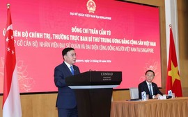 Gắn kết cộng đồng người Việt Nam tại Singapore để góp phần đưa quan hệ hai nước đi vào chiều sâu