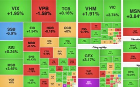 Cổ phiếu "họ" Vingroup đồng loạt tăng, VN-Index lấy lại mốc 1.800 điểm