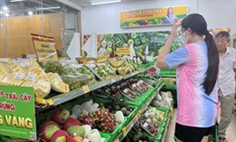 TP Hồ Chí Minh: Lần đầu tiên tổ chức hội chợ, triển lãm sản phẩm nông nghiệp tiêu biểu