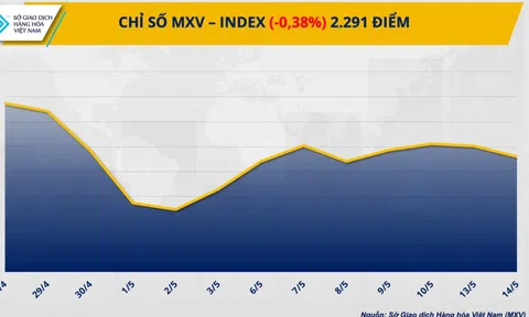 Thị trường hàng hóa nguyên liệu diễn biến phân hoá