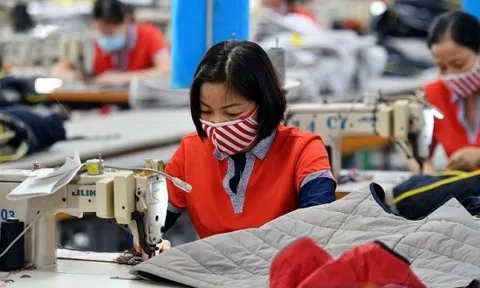 Đơn đặt hàng đạt 83% cho quý III, Dệt may TCM báo lãi triệu đô trong tháng 4