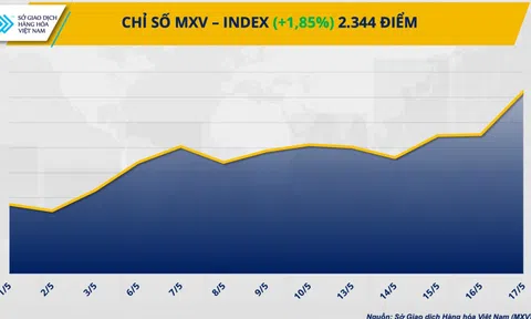 Giá hàng hoá tăng trở lại, đầu tư hàng hóa tăng trưởng mạnh