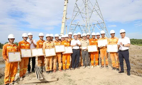 Khen thưởng đơn vị truyền tải có thành tích xuất sắc hỗ trợ lắp dựng cột dự án đường dây 500kV mạch 3