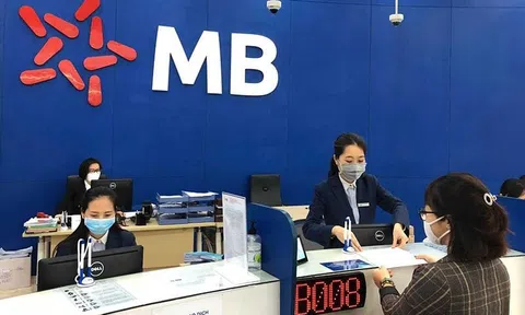 MB sắp phát hành 19 triệu cổ phiếu ESOP rẻ bằng nửa thị giá