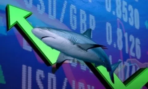 Thị trường chao đảo cuối ngày, dòng tiền cá mập đổ bộ ngành Thép