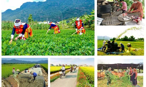 Kiện toàn BCĐ Trung ương các chương trình mục tiêu quốc gia