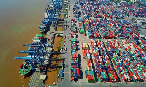 Cảng Cát Lái (CLL) đặt mục tiêu lợi nhuận sau thuế hợp nhất năm 2024 đạt 99,5 tỷ đồng