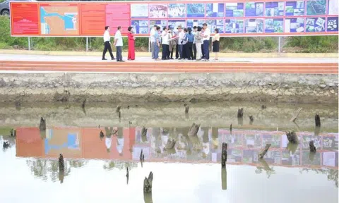 Bãi cọc Bạch Đằng phát lộ sau gần nghìn năm vùi dưới bùn: UNESCO tới khảo sát thực địa