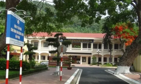 Cổ đông CDH "ngơ ngác" khi vừa mua đã lỗ 26%