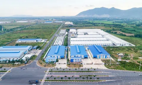 Sonadezi Châu Đức (SZC) báo lãi trăm tỷ trong quý II/2024