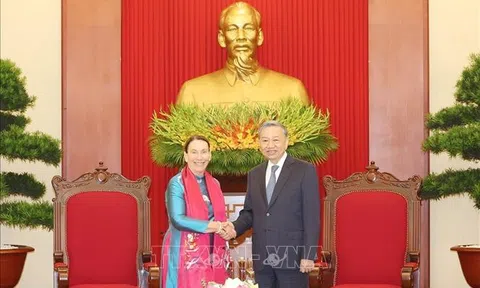 Tổng Bí thư, Chủ tịch nước Tô Lâm tiếp Chủ tịch Thượng viện Australia