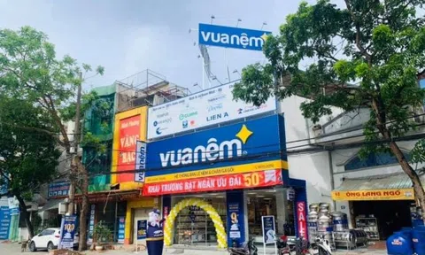 Vua Nệm vẫn "gồng lỗ" gần trăm triệu mỗi ngày