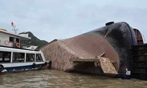 Siêu bão Yagi tàn phá: Doanh nghiệp bảo hiểm trích lập tiền dự phòng bồi thường ra sao?