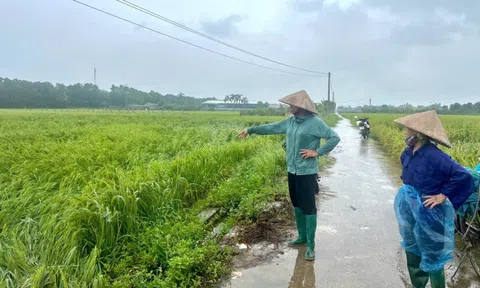 Nông dân Hà Nội trước nỗi lo mất trắng sau bão lũ