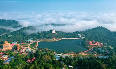 Lãnh đạo Andesco viết tâm thư gửi báo chí