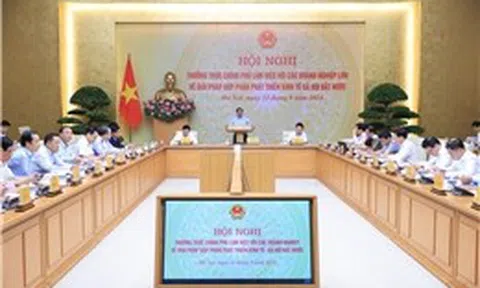 Phát huy vai trò tiên phong của các doanh nghiệp tư nhân lớn