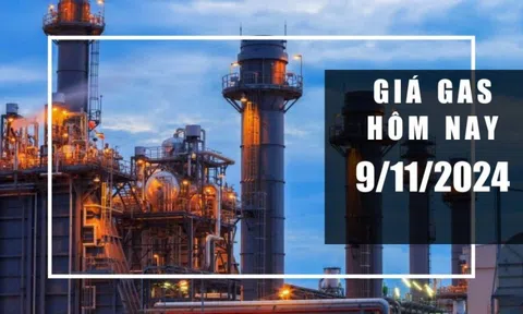 Giá gas hôm nay 9/11/2024: Thế giới tăng nhẹ, trong nước duy trì cao