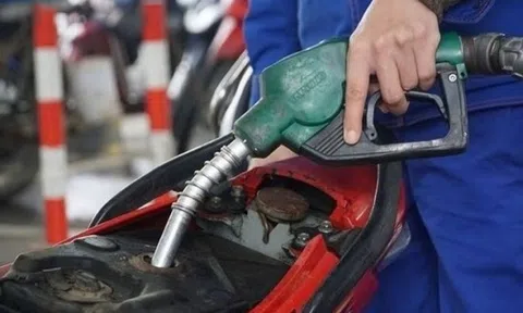 Giá xăng dầu hôm nay 28/11: Thị trường biến động nhẹ trước các yếu tố quốc tế