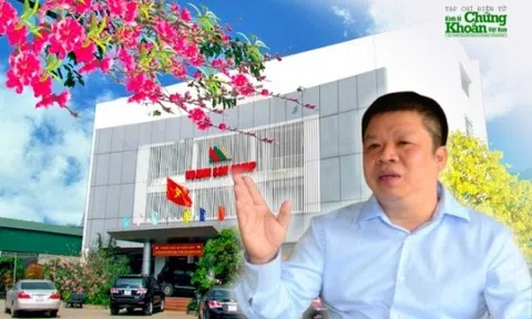 Hành trình “chinh phạt” vào Nam ra Bắc của đại gia “Sơn xay xát”