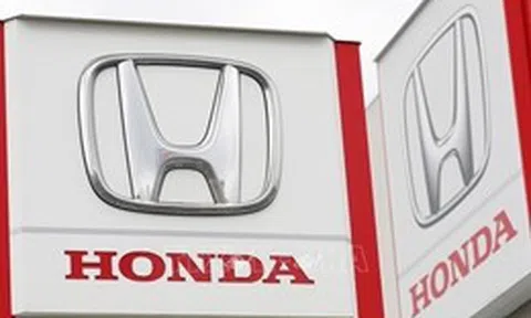 Mỹ: Điều tra 1,4 triệu xe Honda liên quan lỗi động cơ