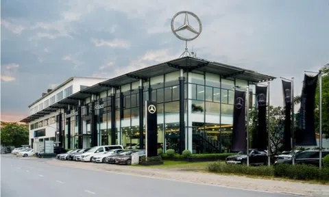 Haxaco ghi nhận lợi nhuận tăng 449% lên hơn 203 tỷ đồng trong năm 2024