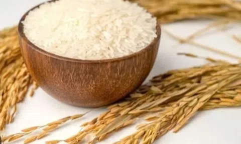 Giá lúa gạo hôm nay 20/3/2025: Thị trường ổn định, giá gạo xuất khẩu tăng nhẹ