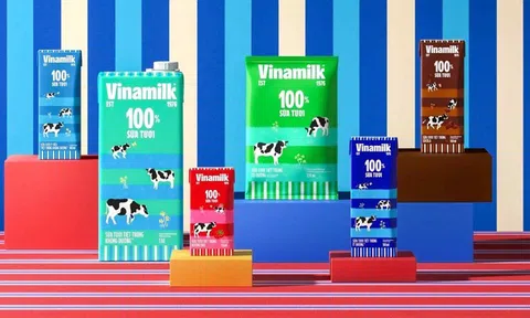 Thêm 4.180 tỷ đồng cổ tức sắp về túi cổ đông Vinamilk (VNM) vào tháng 5/2025