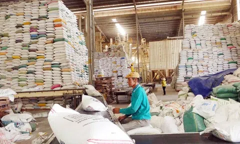 VCCI đề xuất gỡ khó cho doanh nghiệp kinh doanh xuất khẩu gạo