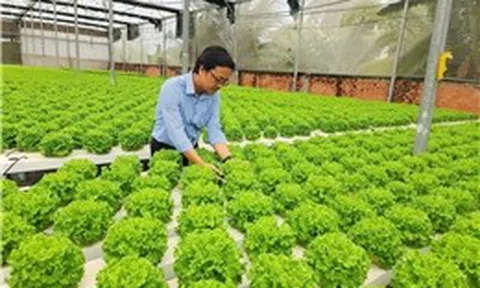 Doanh nghiệp hướng đến sản xuất xanh để giữ vững thị trường xuất khẩu