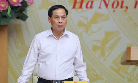 Xử lý 50.736 vụ việc vi phạm buôn lậu, hàng giả trong 6 tháng đầu năm