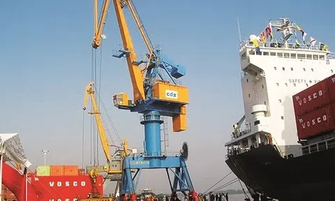 Cảng Đoạn Xá (DXP): Lãi kỷ lục, lập công ty vận tải biển tìm hướng đi mới