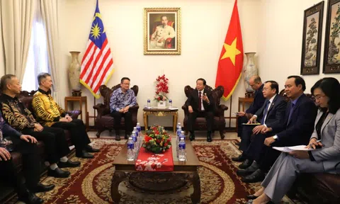 Phó Thủ tướng Trần Hồng Hà tiếp lãnh đạo một số hiệp hội, doanh nghiệp Malaysia
