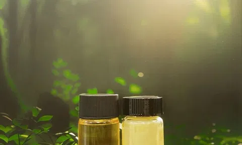 Terra Oleo ra mắt sau giai đoạn hoạt động kín với khoản đầu tư 3,1 triệu USD và được lựa chọn vào chương trình Đồng hành của Breakthrough Energy để tái định nghĩa chất béo và dầu