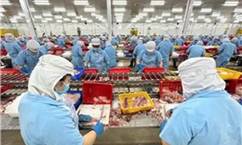 Tìm giải pháp khai thác tối đa hiệu quả của các Hiệp định thương mại tự do