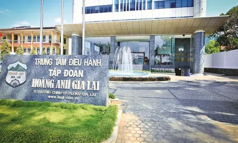 HAGL (HAG) vừa 'xoá' được 2.500 tỷ đồng tiền nợ thông qua phát hành cổ phiếu