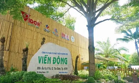 Viễn Đông (VID) thay Chủ tịch HĐQT, ông Trần Hoàng Nghĩa trở lại ghế nóng