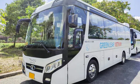 Hệ sinh thái Green Leaf Việt Nam của doanh nhân Trần Quốc Tuấn nợ đọng bảo hiểm xã hội hàng tỷ đồng
