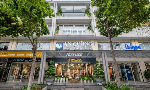 Gỗ An Cường (ACG) sắp rót' 196 tỷ đồng cổ tức, hoàn thành 80% kế hoạch lợi nhuận năm 2025