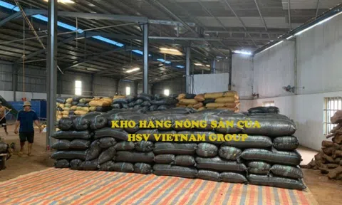 Phát hành giá 10.000 đồng/cp, Tập đoàn HSV Việt Nam (HSV) huy động 150 tỷ dồn vốn cho mảng vận tải thủy