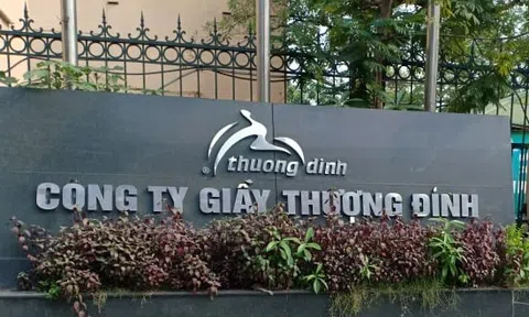 Cổ phiếu Giày Thượng Đình (GTD) trúng đấu giá cao gấp 10 lần khởi điểm: Hai cá nhân chi gần 1.400 tỷ đồng thâu tóm doanh nghiệp thua lỗ triền miên