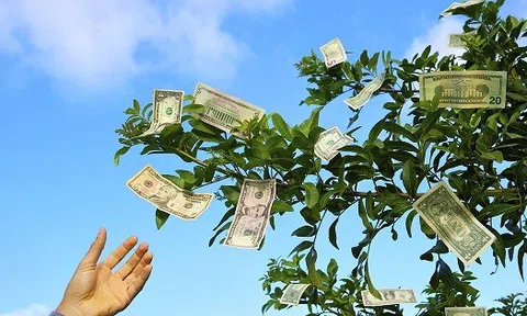 Masan Consumer, PNJ và loạt doanh nghiệp chốt quyền chia cổ tức tuần tới: 'Tiền tươi' chảy mạnh về túi cổ đông dịp đầu năm