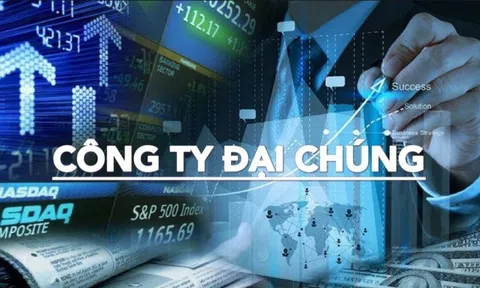 Vocarimex và Bao bì Biên Hòa chính thức hủy tư cách công ty đại chúng khi tỷ lệ sở hữu nhỏ lẻ xuống thấp kỷ lục