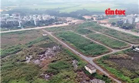 TP Hồ Chí Minh thông qua bảng giá đất mới áp dụng từ năm 2026