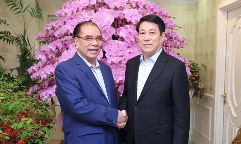 Chủ tịch nước Lương Cường chúc Tết nguyên Tổng Bí thư Nông Đức Mạnh