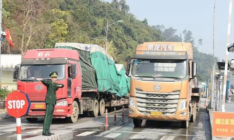 Tạm dừng thông quan hàng hóa qua cửa khẩu Lạng Sơn từ 15/2