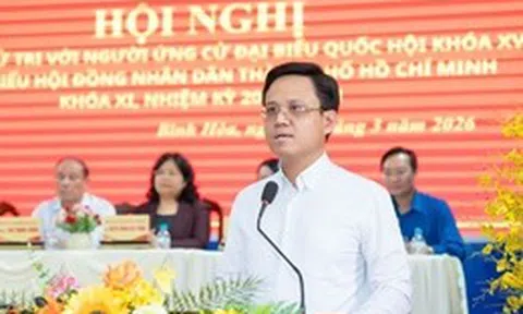 Doanh nhân trẻ đặt niềm tin vào ngày hội trọng đại của đất nước