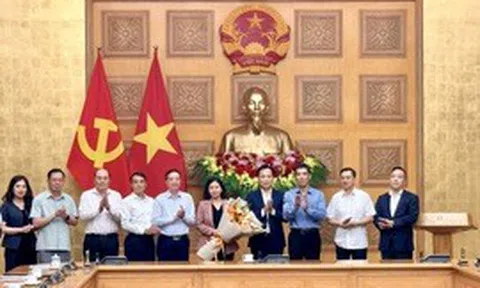 Đồng chí Nguyễn Thị Tuyến giữ chức Bí thư Đảng ủy các cơ quan tham mưu, giúp việc của Đảng ủy Chính phủ