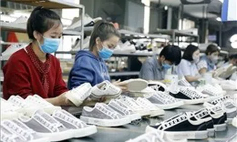 Doanh nghiệp ứng phó với áp lực thiếu hụt nguyên liệu và đơn hàng