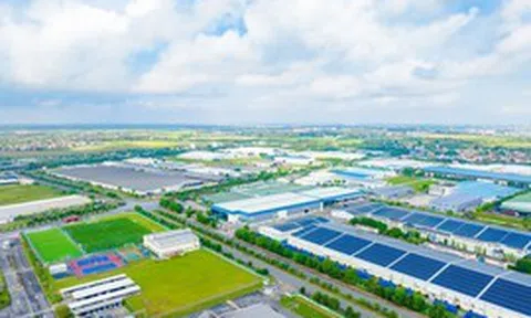 IMC đồng hành cùng doanh nghiệp nâng cao năng lực quản trị và tuân thủ thuế