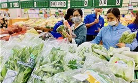 Doanh nghiệp TP Hồ Chí Minh đối mặt với nhiều áp lực từ giá nhiên liệu tăng